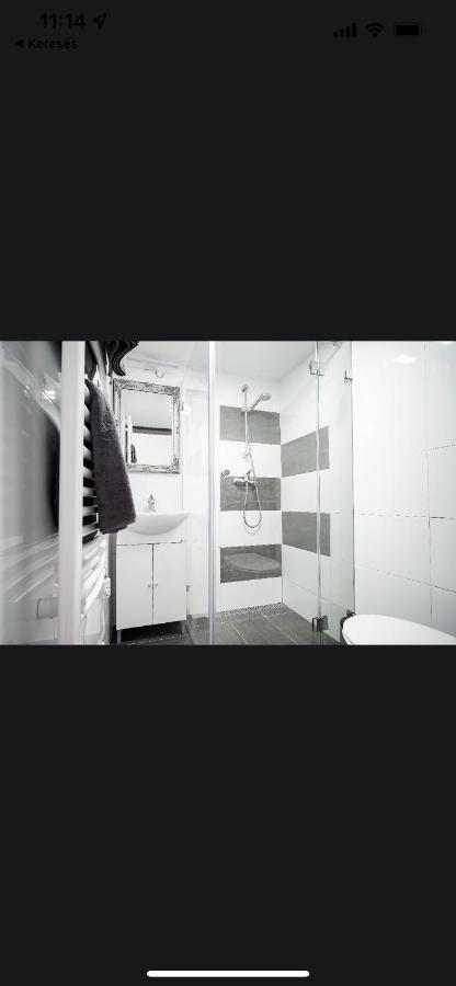 Twin Apartment Budapeşte Dış mekan fotoğraf